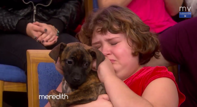 Illustration for article titled Watch This Little Girl React to Getting a Puppy the Exact Perfect Way